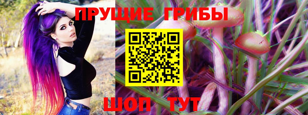 Осинники  Псилоцибиновые грибы Cubensis  купить наркотики цена  Вход с VPN 