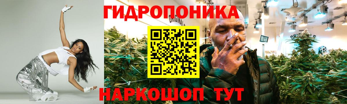 Канабис индика  Каннабис LSD WEED  Шишки марихуана план  Вход с VPN  Каннабис VHQ  Осинники 